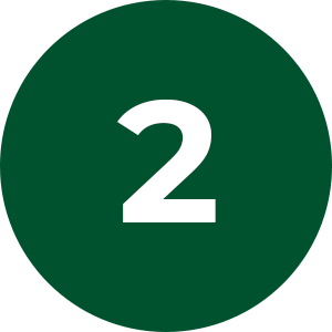 Ensino